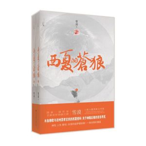 西夏的苍狼